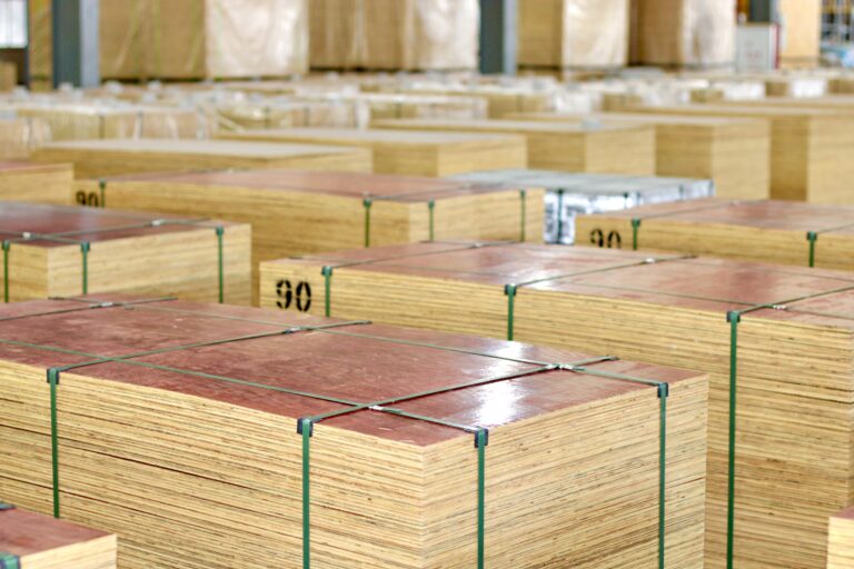 微信图片_20250625111907